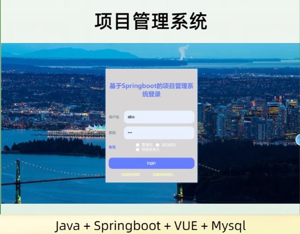 项目管理系统 springboot vue mysql数据库 计算机项目