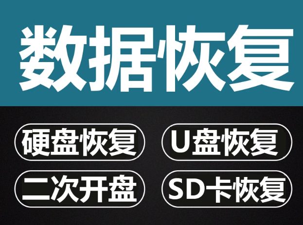 电脑移动硬盘数据恢复u盘内存sd卡维修服务照片视频文件软件修复